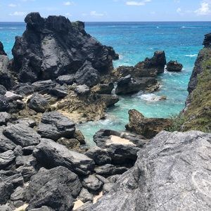 Meet your Posher, Brenda